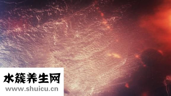 羊水破了什么感覺