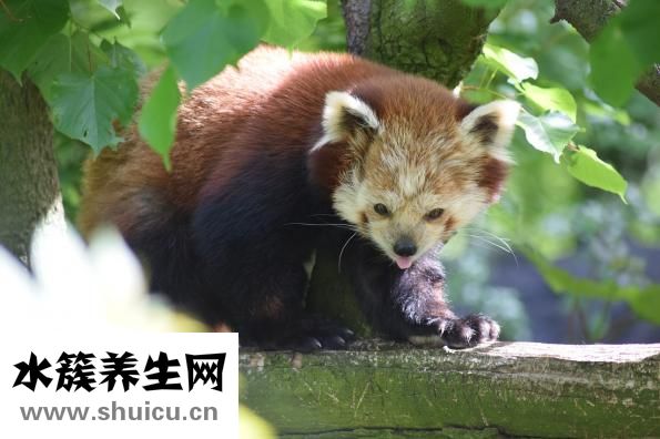 剛剛哪里地震了