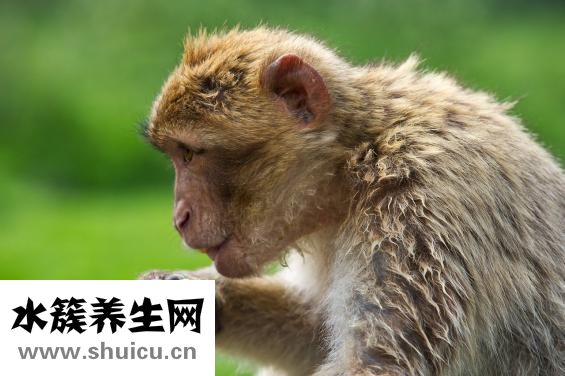 如何處理婆媳關系