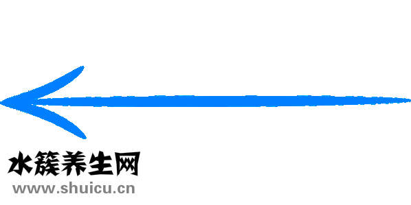 牙神經痛吃什么藥