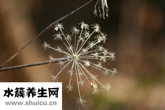 臉上老長痘痘怎么辦