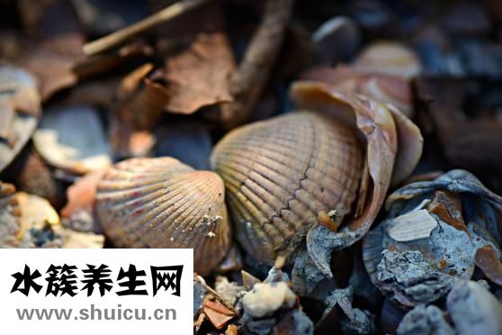 水土不服吃什么藥