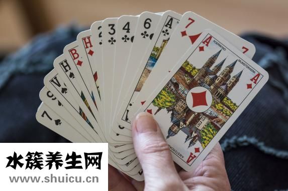 清道夫魚吃什么