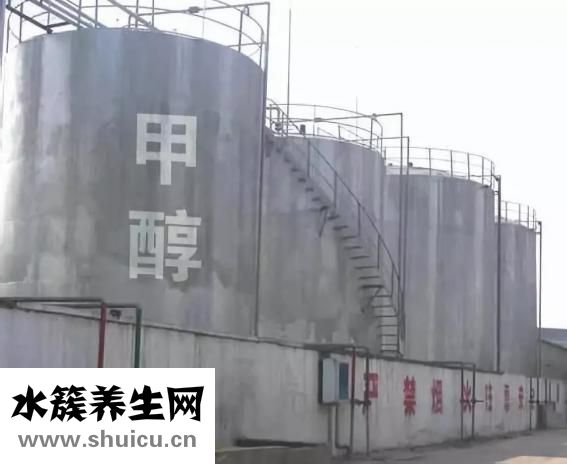 艾葉有什么作用