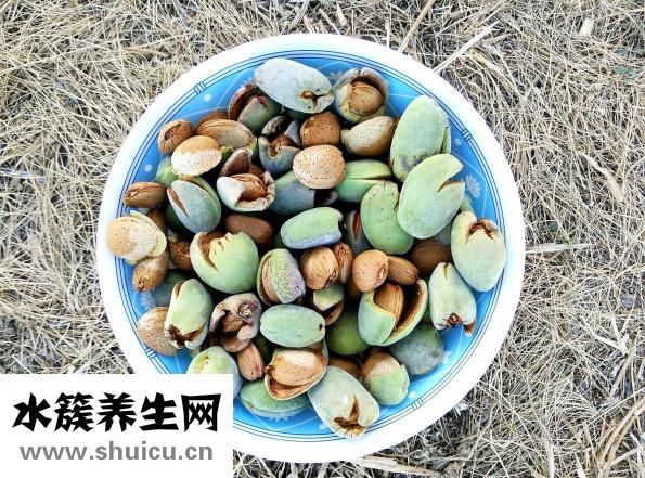 孕婦吃什么干果好