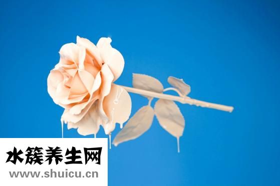 哪個少女不懷春