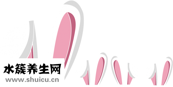 油耳屎有腋臭怎么辦