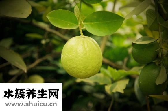 吃什么可以去斑