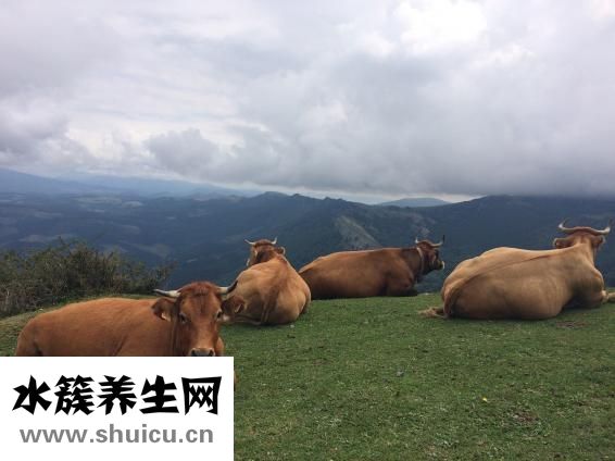 陽(yáng)虛體質(zhì)如何調(diào)理