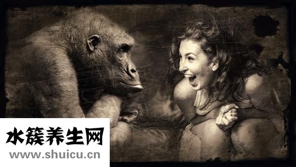 骨質疏松吃什么