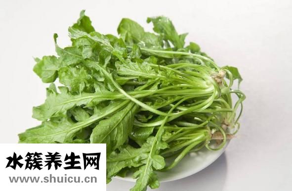 淡菜是什么