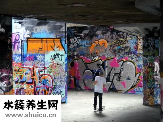 花兒樂隊為什么解散