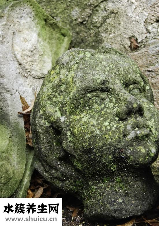 臉上長斑怎么去除