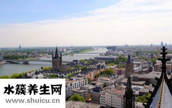 如何查詢手機(jī)號(hào)碼