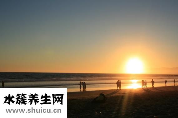 肺癌病人吃什么好