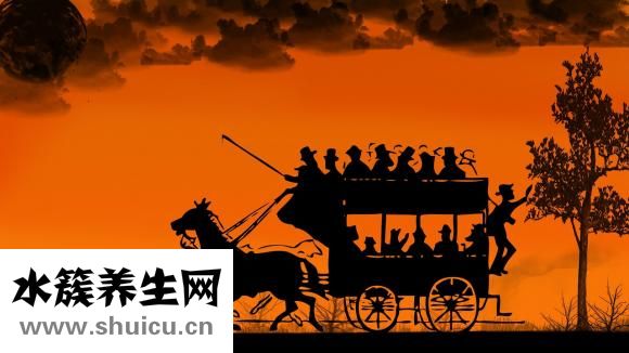 手腳冰涼是什么原因