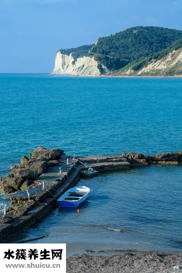 碧螺春是什么茶