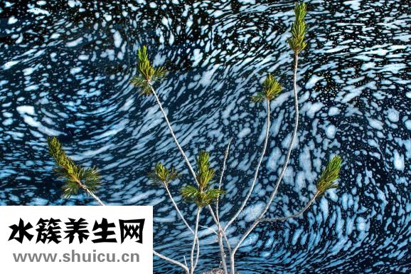 尿毒癥有哪些癥狀