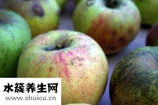 感冒發燒吃什么食物