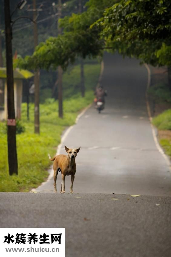 家庭出身怎么填