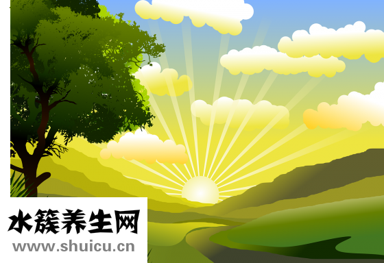 夏天吃什么降火