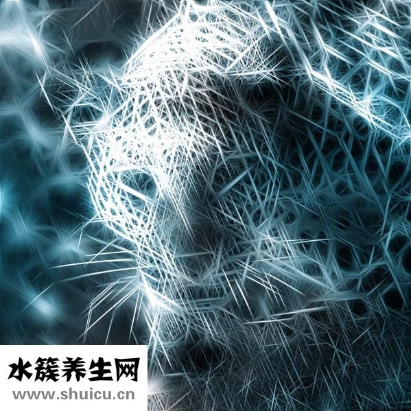 尿毒癥有哪些癥狀