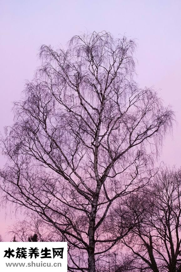 胎兒入盆什么感覺