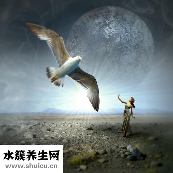 孕婦應(yīng)該吃什么奶粉