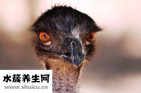 怎么樣才能去眼袋