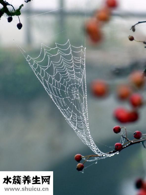 尿毒癥有哪些癥狀