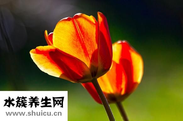 如何改變自己的聲音