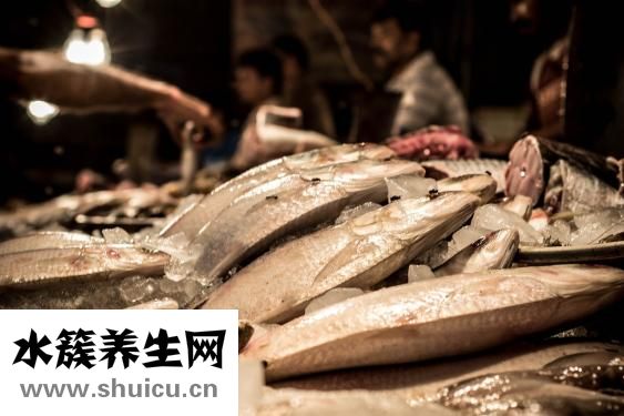 沙丁魚(yú)怎么做好吃