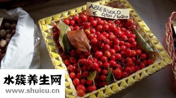 臉上老長痤瘡怎么辦