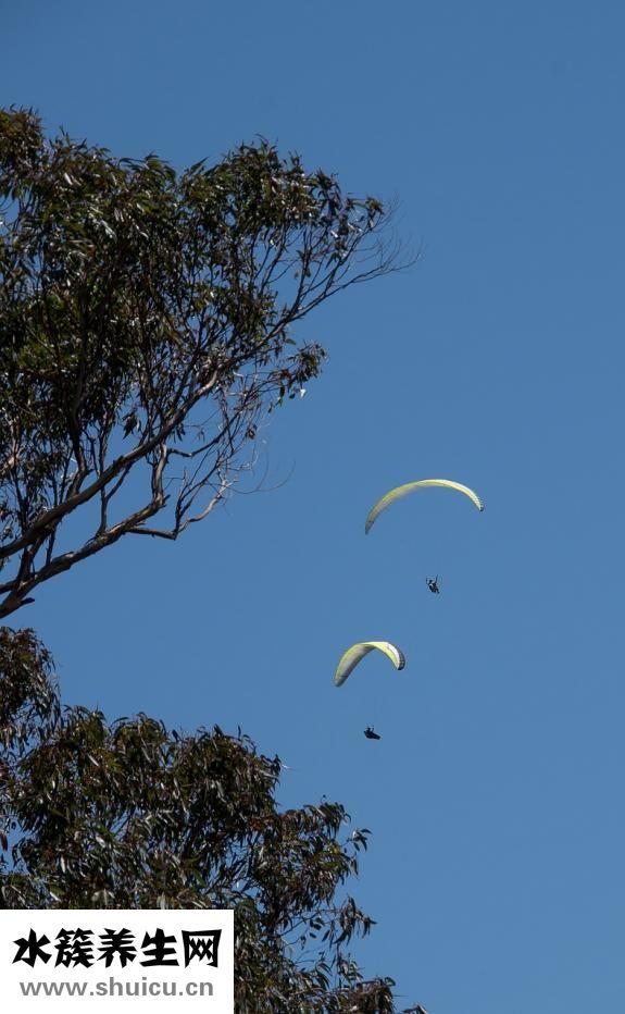 小便分叉怎么辦