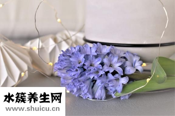 眼干眼澀怎么辦