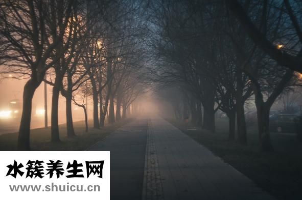 腎痛是什么原因