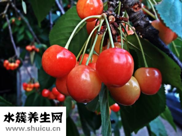 臉上有斑點(diǎn)怎么辦