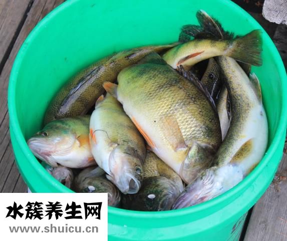 得了濕疹不能吃什么