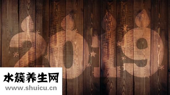 腎痛是什么原因