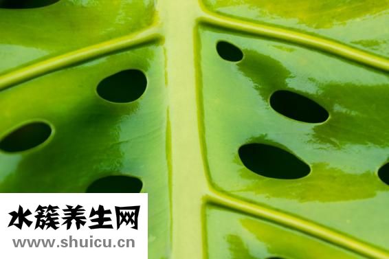 耳膜破了怎么辦