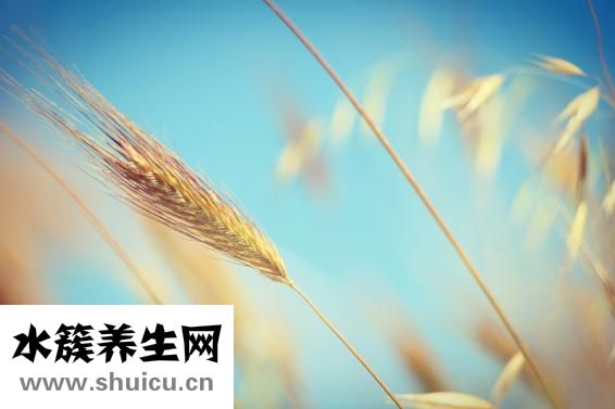 更年期潮熱怎么辦