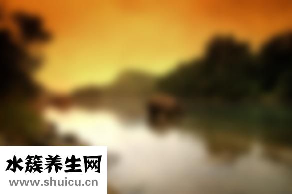 肚子疼吃什么好