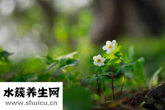 臉皮膚松弛怎么辦