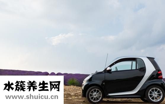 國產奶粉有哪些