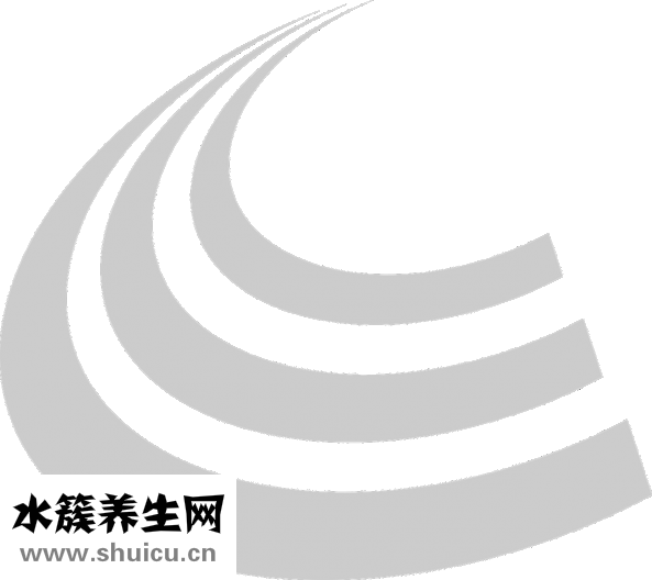 怎么能迅速減肥