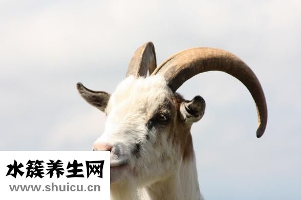 面霜什么時候用