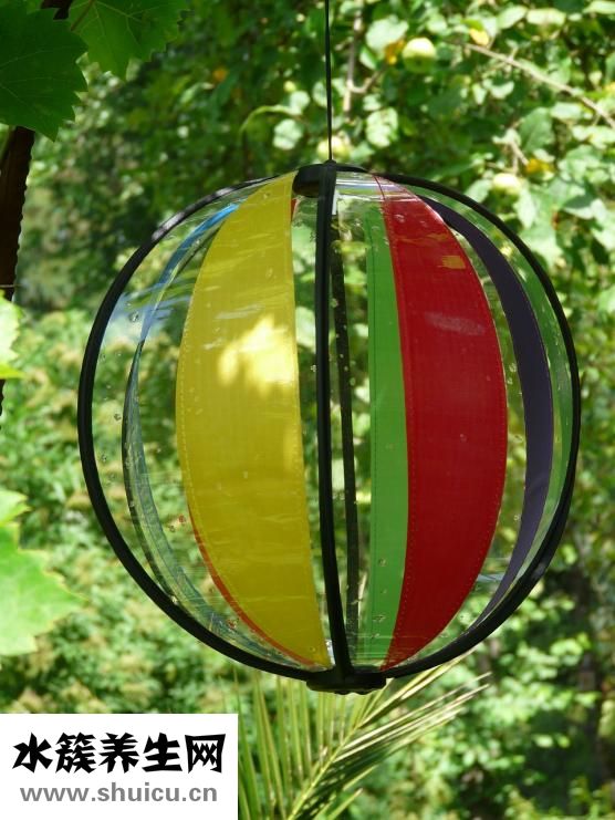 補(bǔ)腎吃什么好