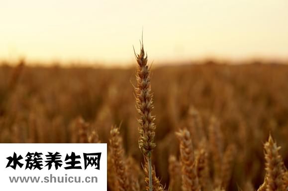 肉皮凍怎么做好吃