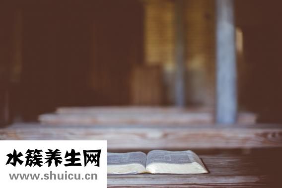 想減肥晚餐吃什么