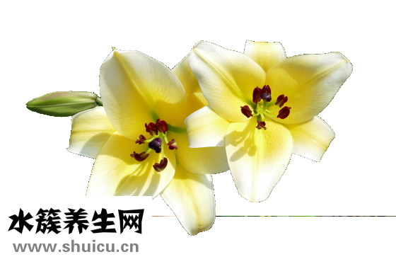 熬夜黑眼圈怎么去除